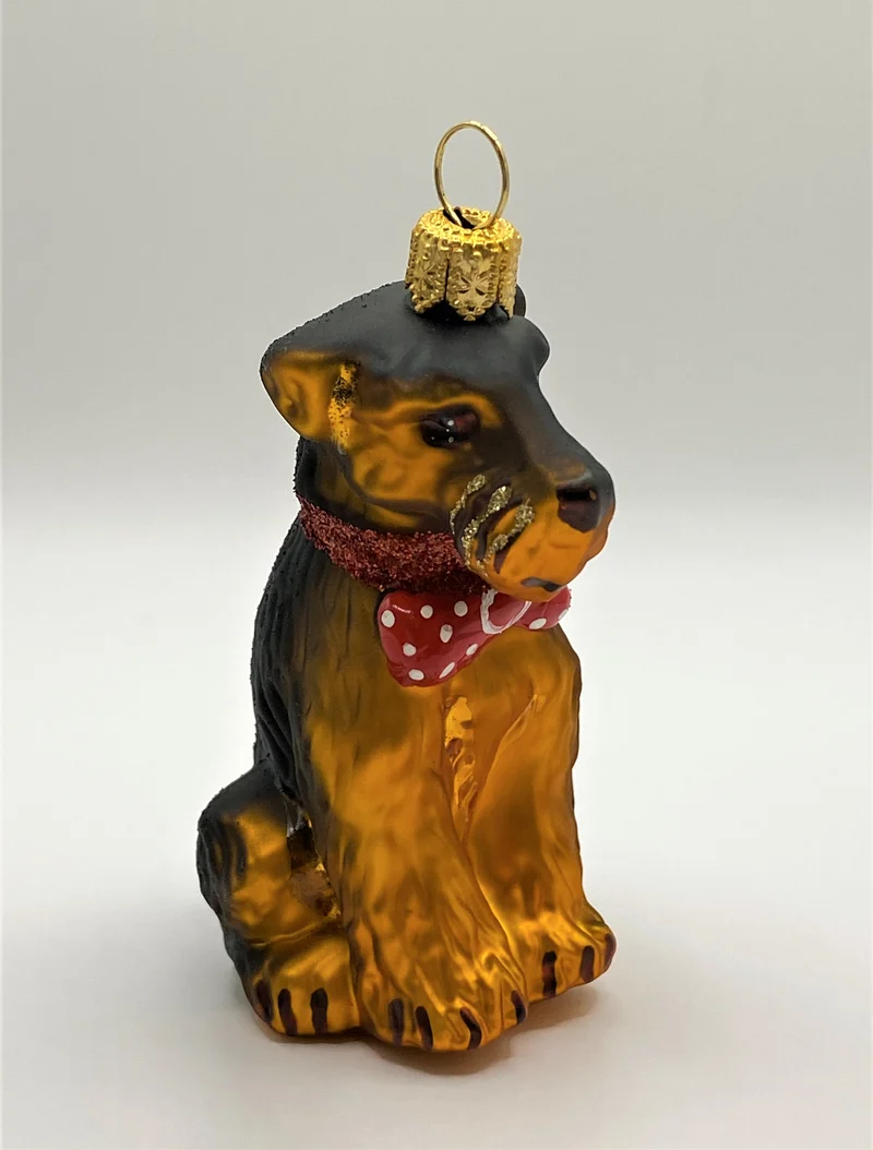 Airedale Terrier mit rotem Halsband