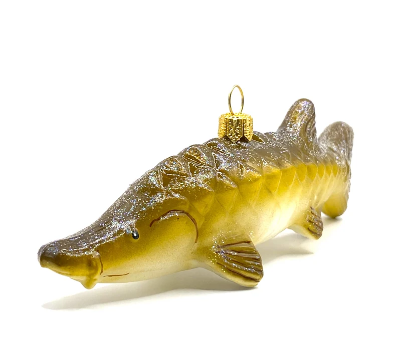 Hellbrauner Stör