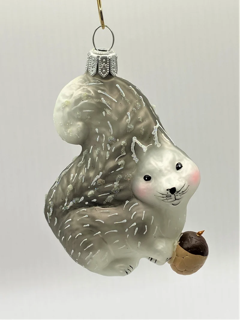Graues verschmitztes Eichhörnchen mit Eichel
