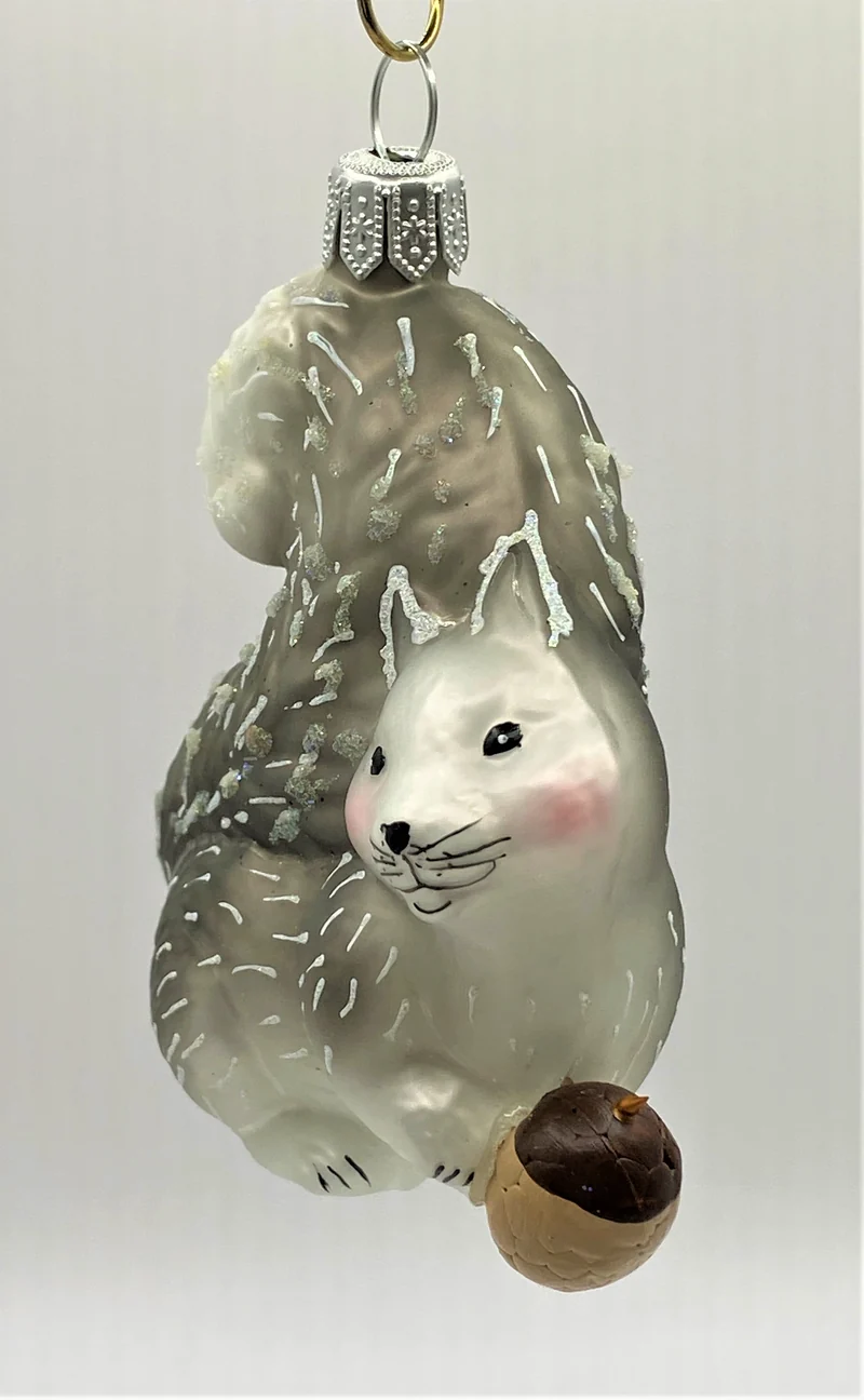 Graues verschmitztes Eichhörnchen mit Eichel