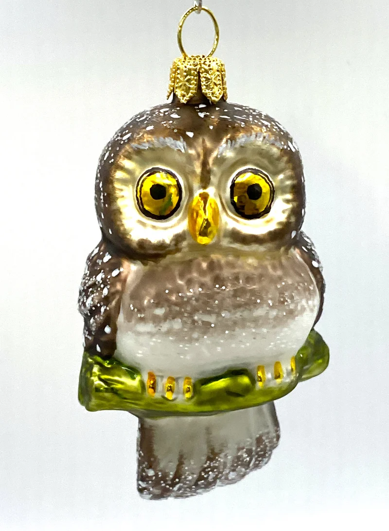 Herziger Stein-Kauz mit grossen Augen