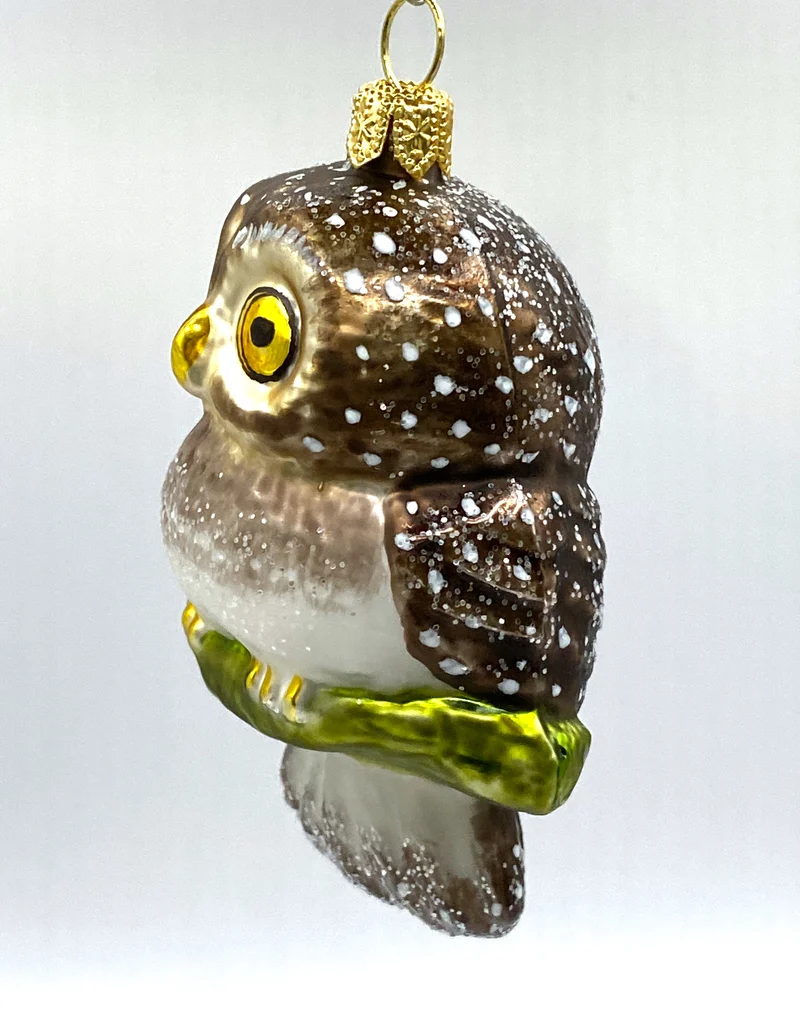 Herziger Stein-Kauz mit grossen Augen