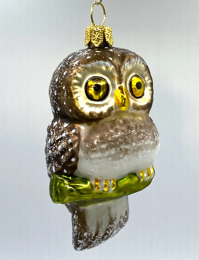 Herziger Stein-Kauz mit grossen Augen