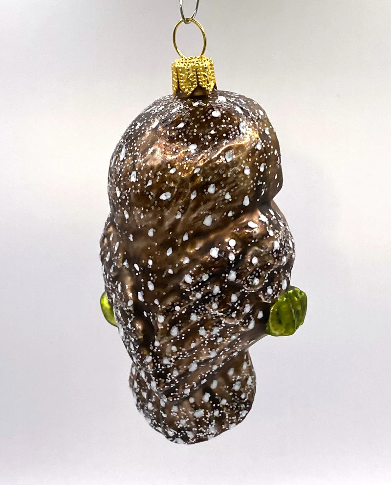 Herziger Stein-Kauz mit grossen Augen
