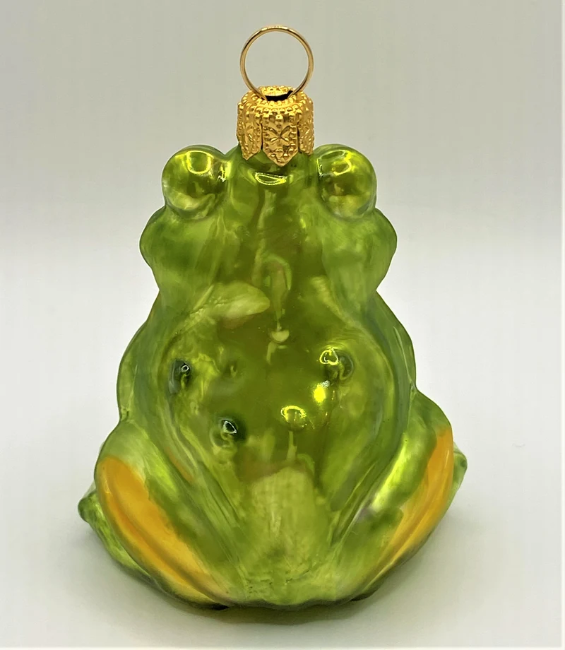 Fröhlicher hellgrüner Frosch