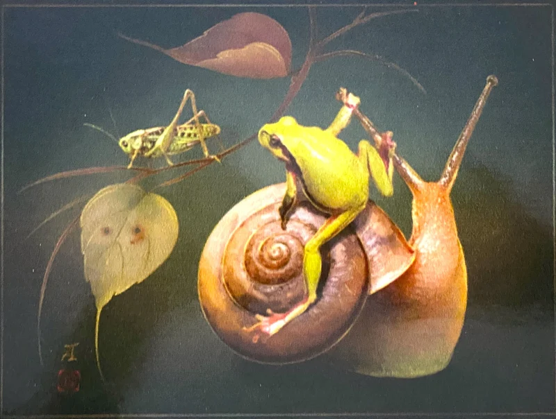 Frosch sitzt auf der Schnecke, AtlasArt