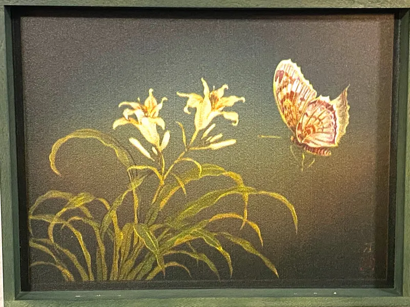 Frosch sitzt auf der Schnecke, AtlasArt