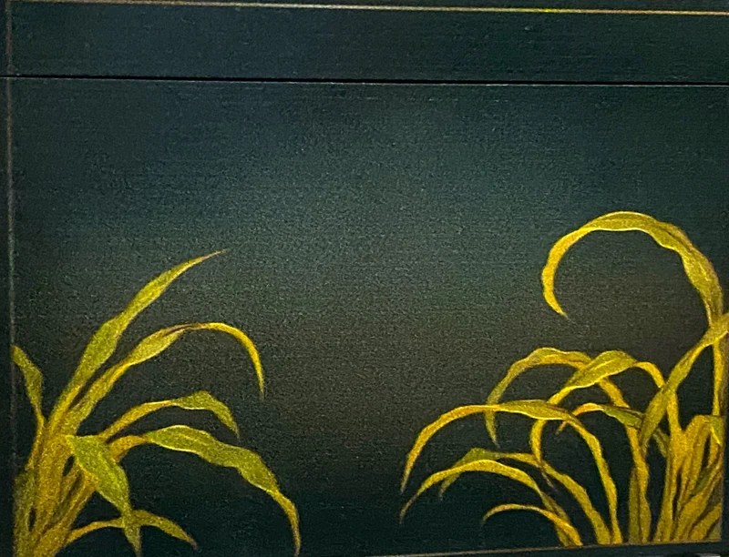 Frosch sitzt auf der Schnecke, AtlasArt