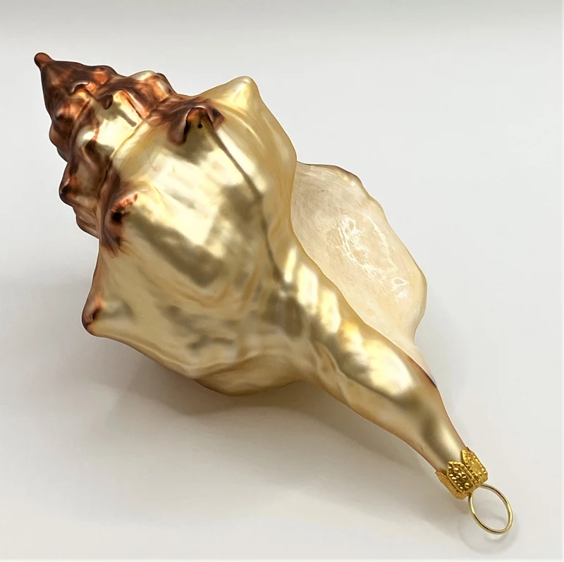 Muschel braun beige