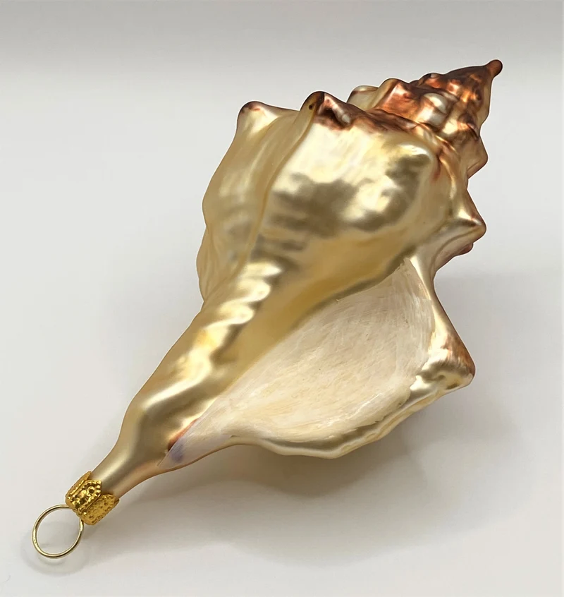 Muschel braun beige