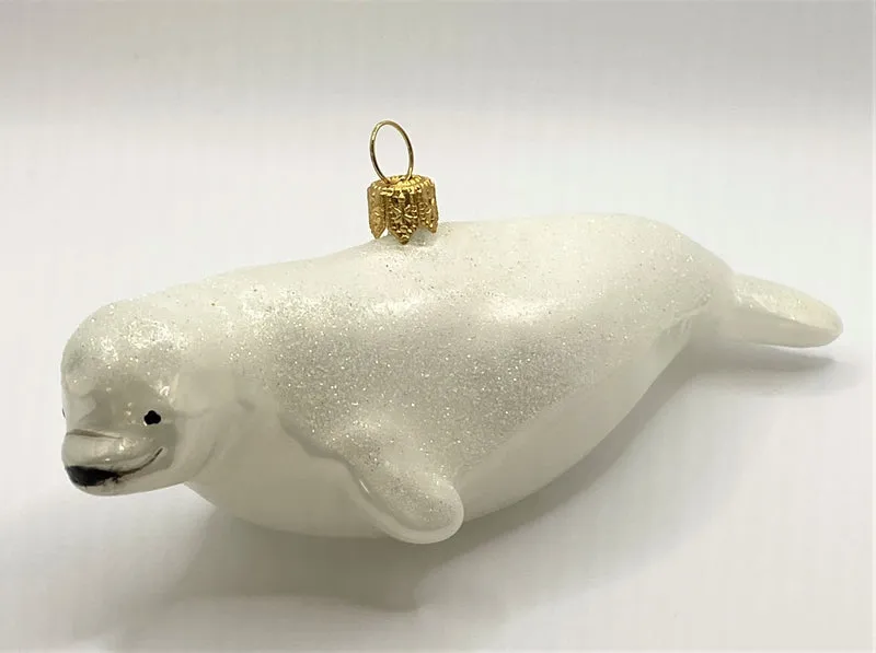 Beluga Wal