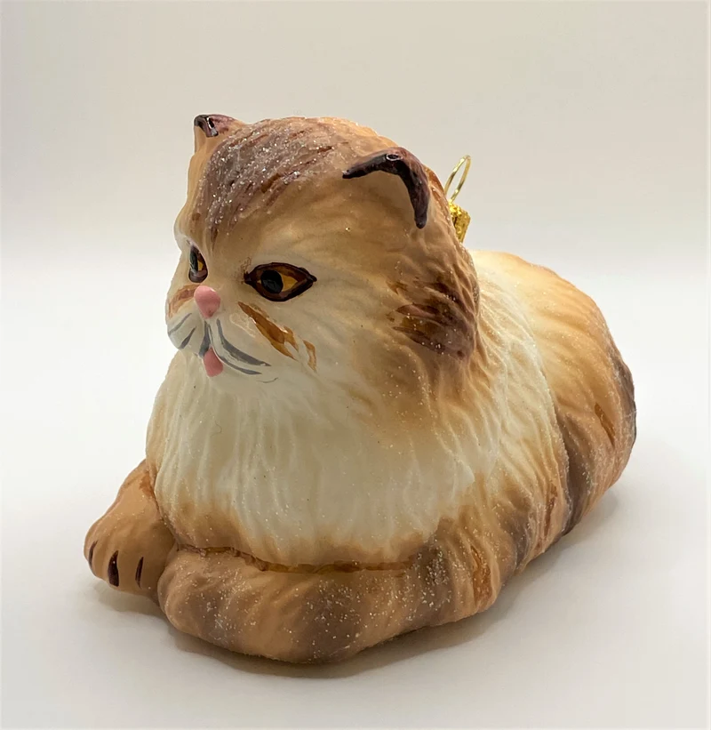 Hellbraune Perser-Katze