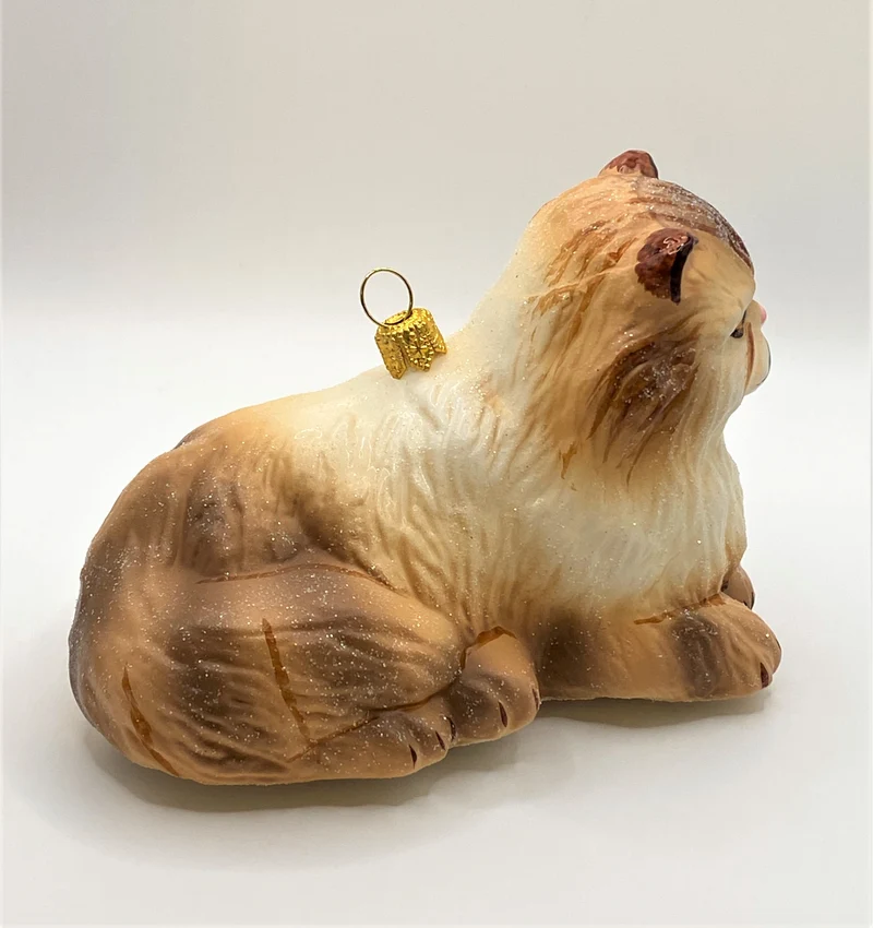 Hellbraune Perser-Katze