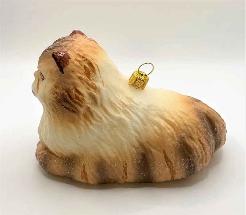 Hellbraune Perser-Katze