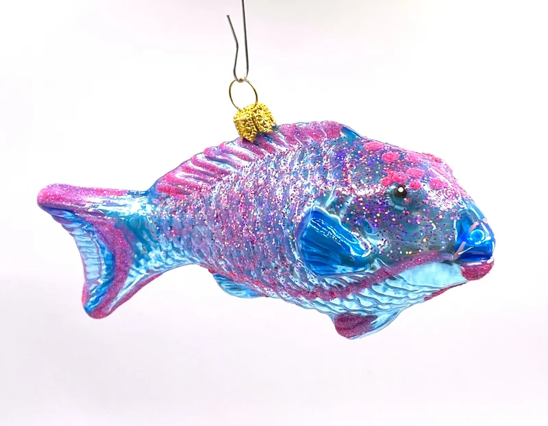 Blauer Papageifisch