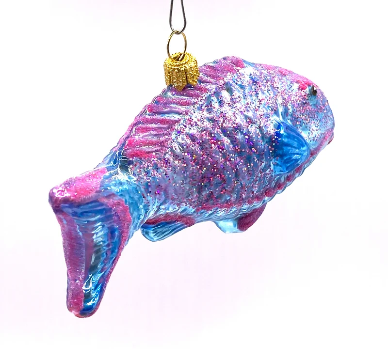 Blauer Papageifisch