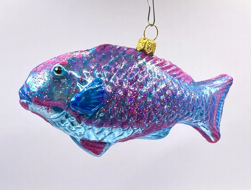 Blauer Papageifisch