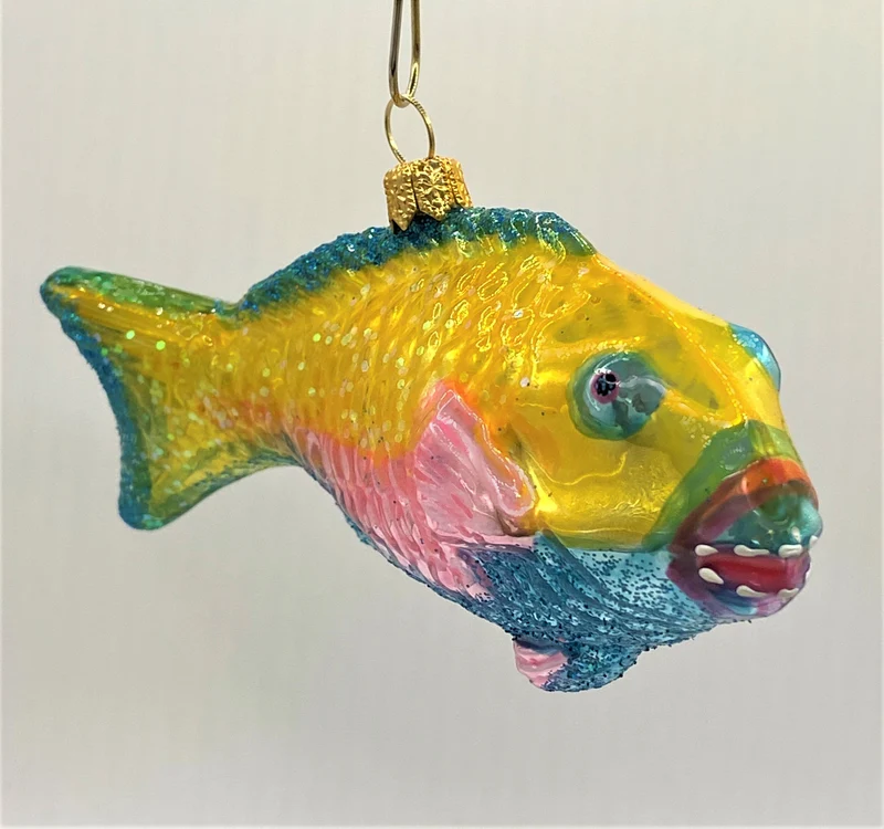 Bunter Papageifisch