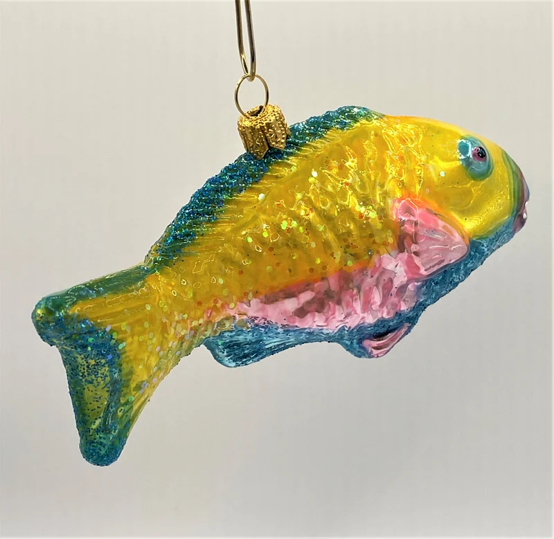 Bunter Papageifisch