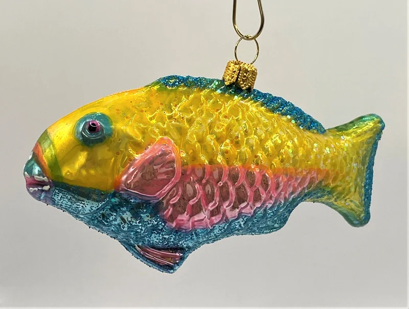 Bunter Papageifisch
