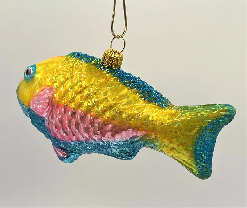 Bunter Papageifisch