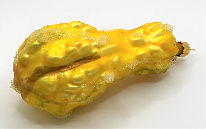 Gelber Kürbis