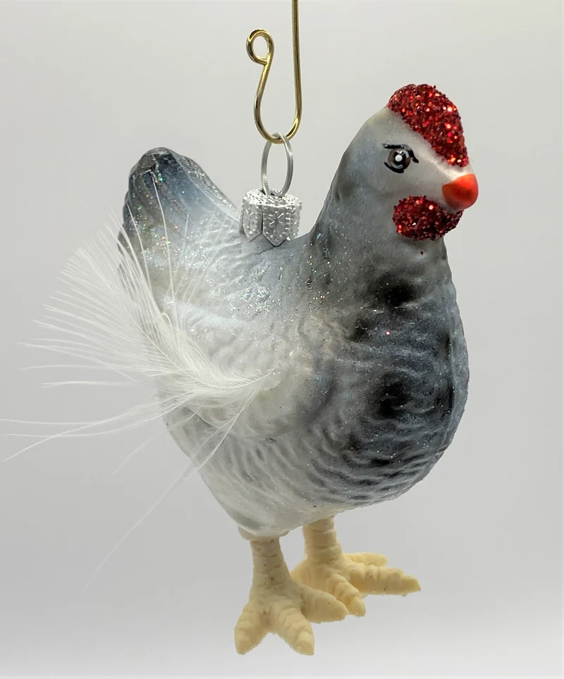 Weiss-graues Huhn mit weissen Federn