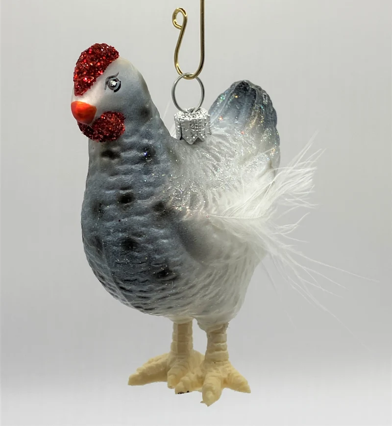 Weiss-graues Huhn mit weissen Federn