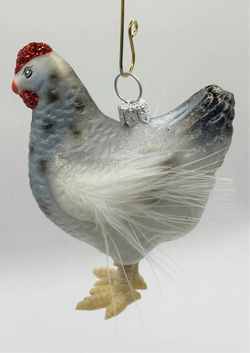 Weiss-graues Huhn mit weissen Federn
