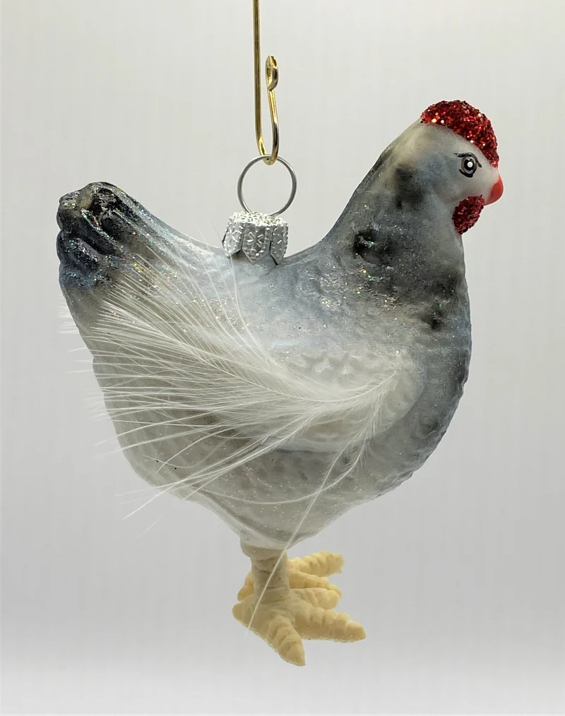 Weiss-graues Huhn mit weissen Federn