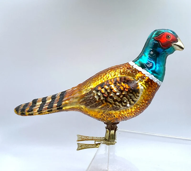 Grosser Jagd-Fasan