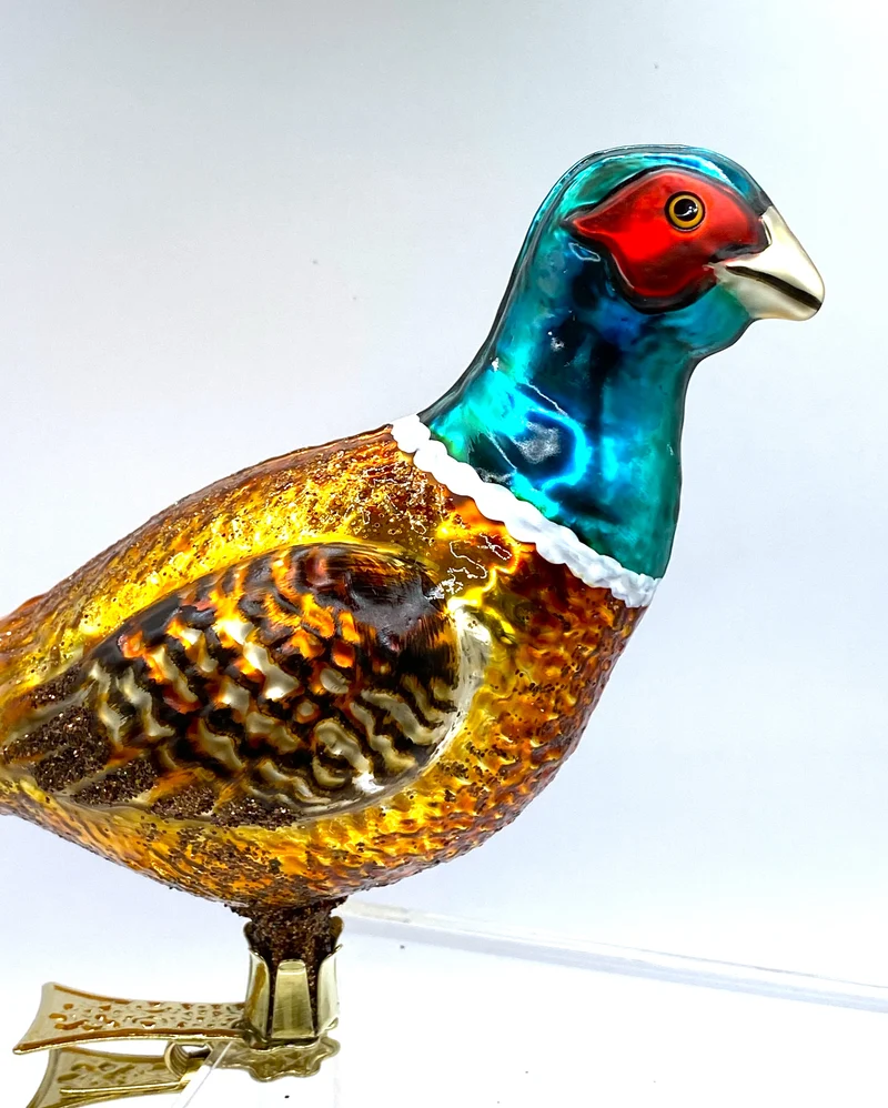 Grosser Jagd-Fasan