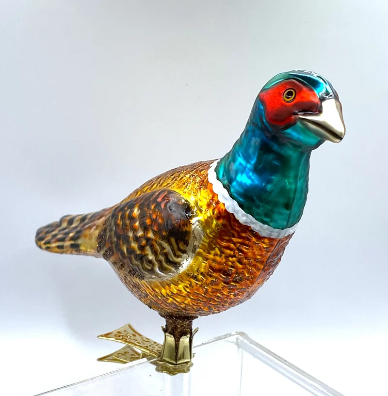 Grosser Jagd-Fasan