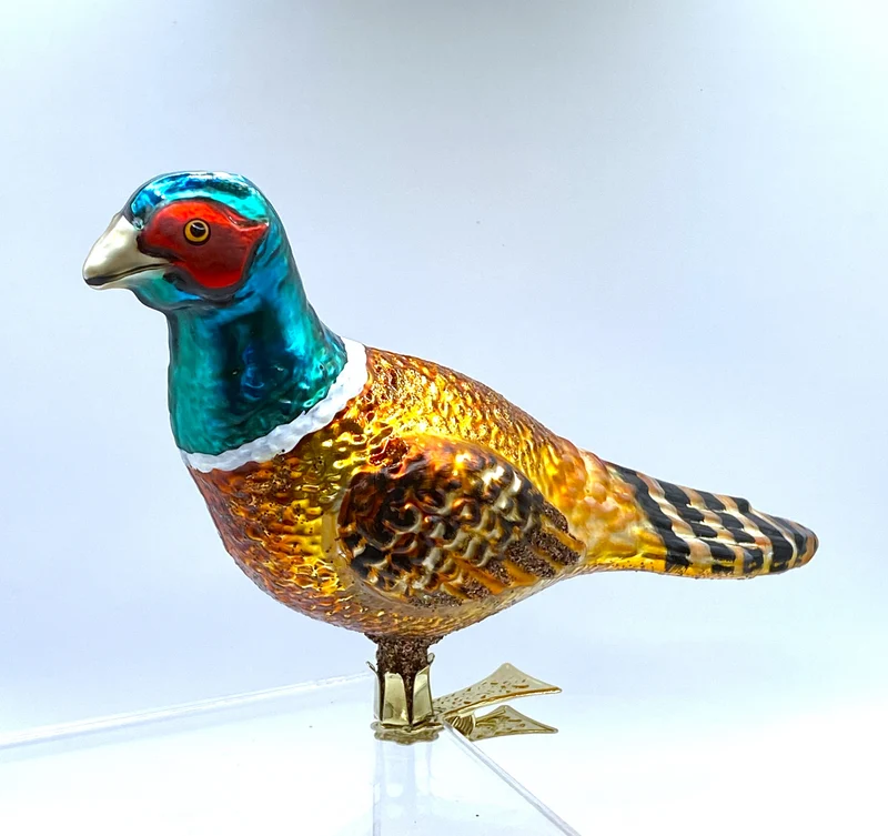 Grosser Jagd-Fasan
