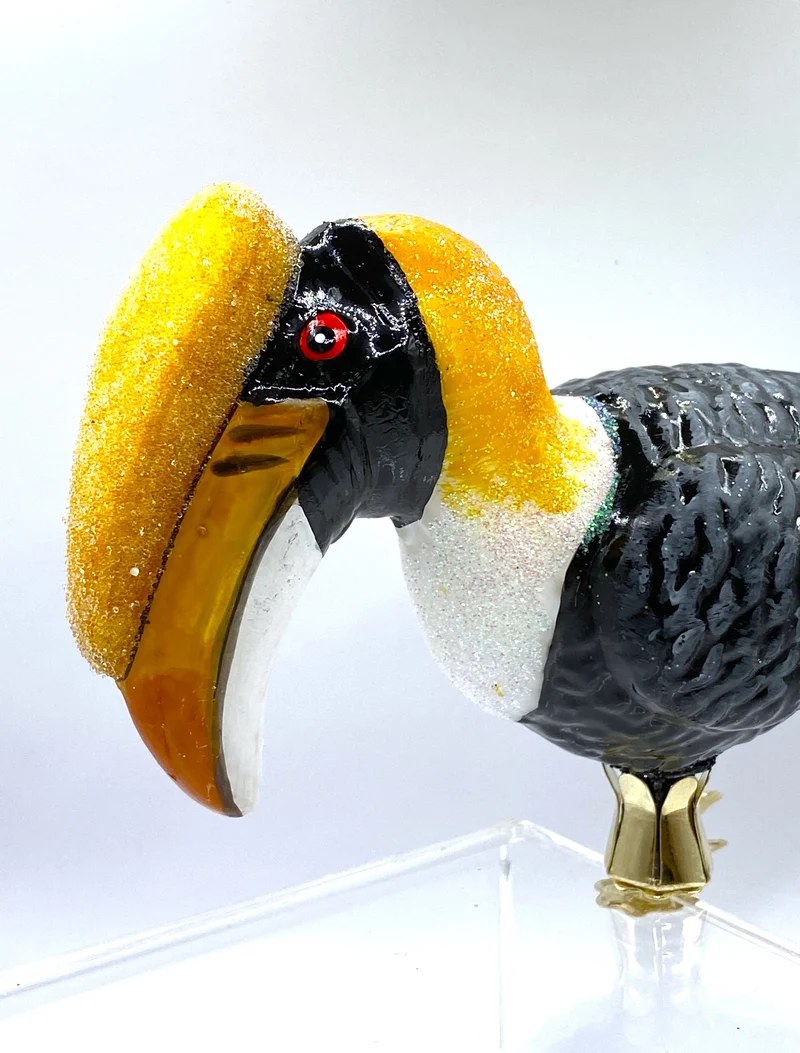 Nashornvogel, Doppelhornvogel