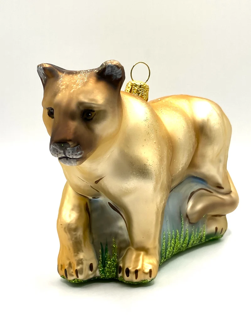 Puma, Berglöwe