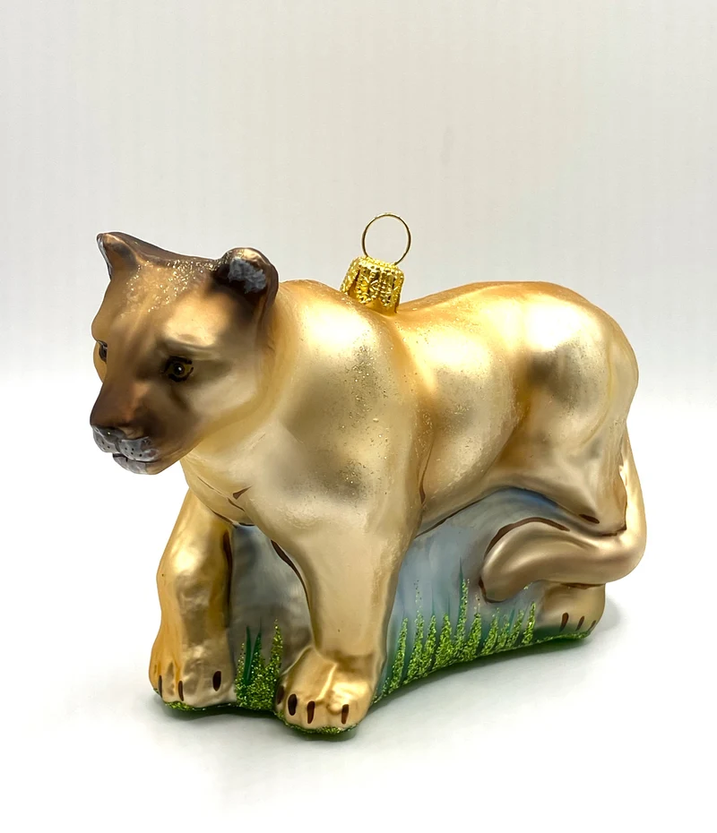 Puma, Berglöwe