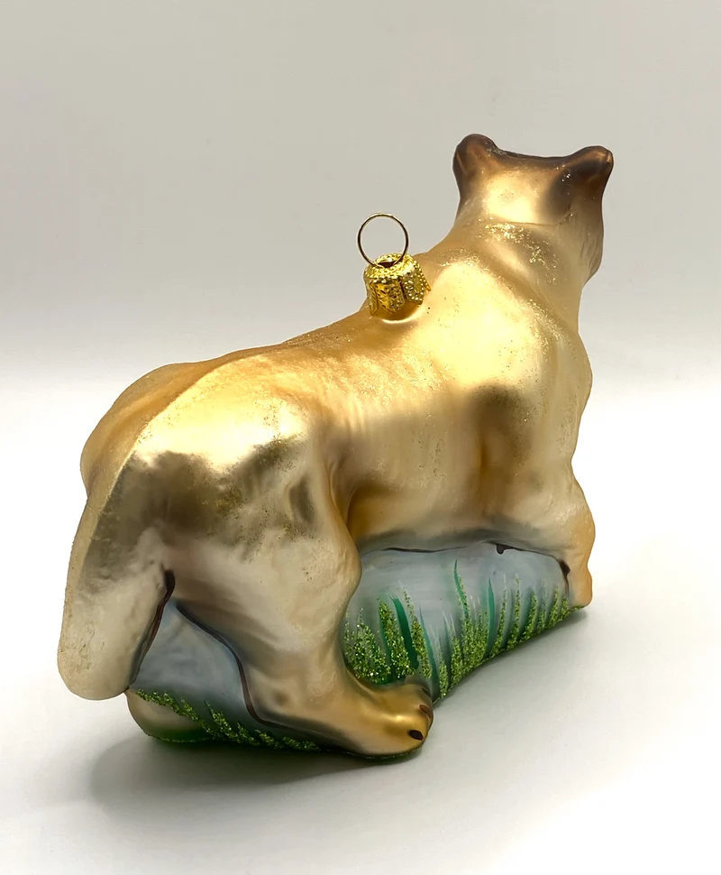 Puma, Berglöwe