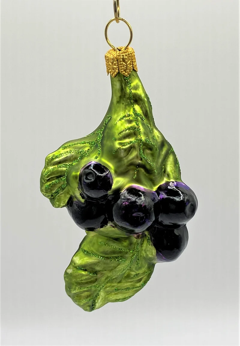 Heidelbeeren am Zweig