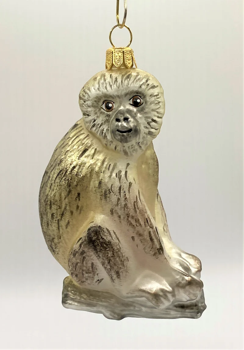 Affe sitzt auf Baumstamm