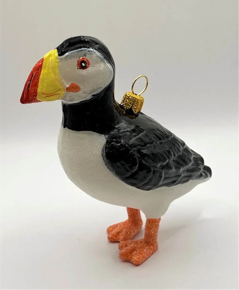 Papageien Taucher