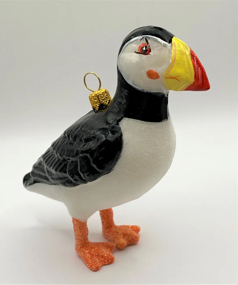 Papageien Taucher