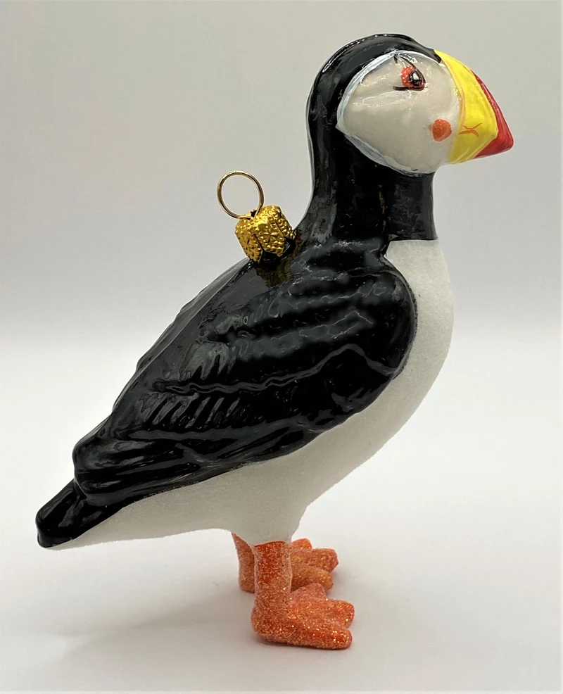 Papageien Taucher