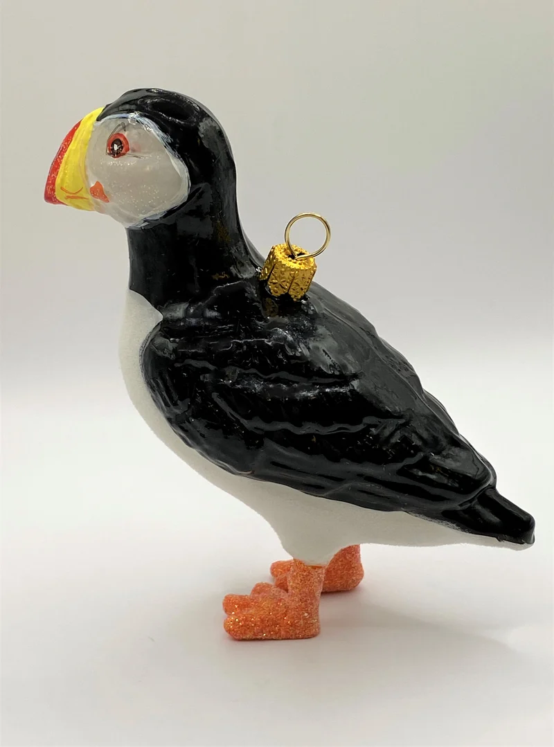 Papageien Taucher