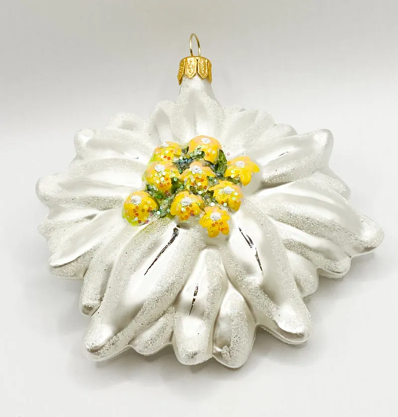 Grosses Edelweiss