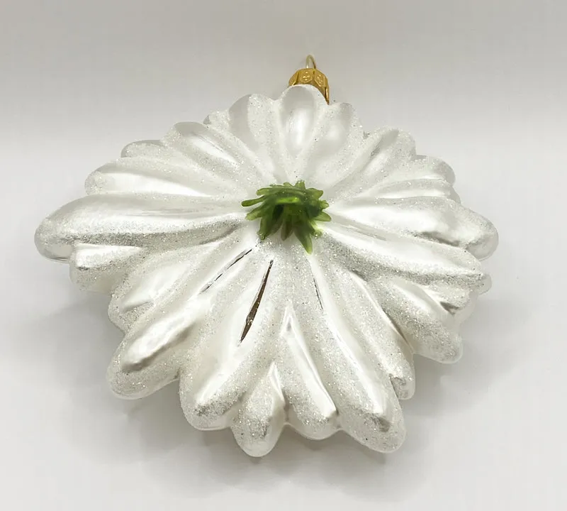 Grosses Edelweiss