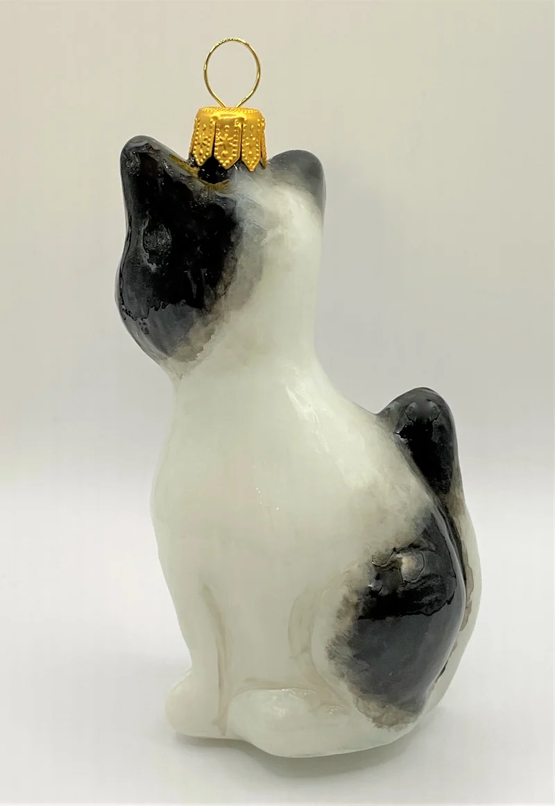 Schwarzweiss gefleckte Katze, KOMOZJA MOSTOWSKI