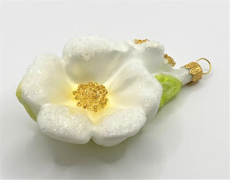 Weisse Kirschblüte