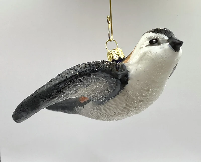 Fliegende Schwalbe, Rauchschwalbe