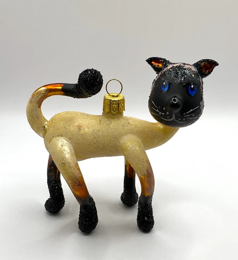 Witzige Siam-Katze